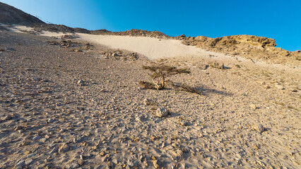 Rocky sand dune under clear blue sky. Socotra, Yemen. © M
