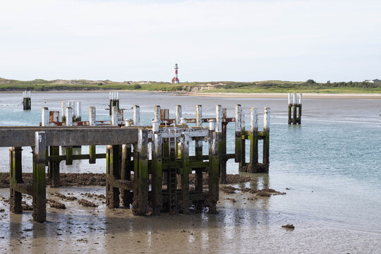 Weathered wooden pier with green moss and barnacles at low tide, lighthouse visible in the background along the coastline under a clear sky