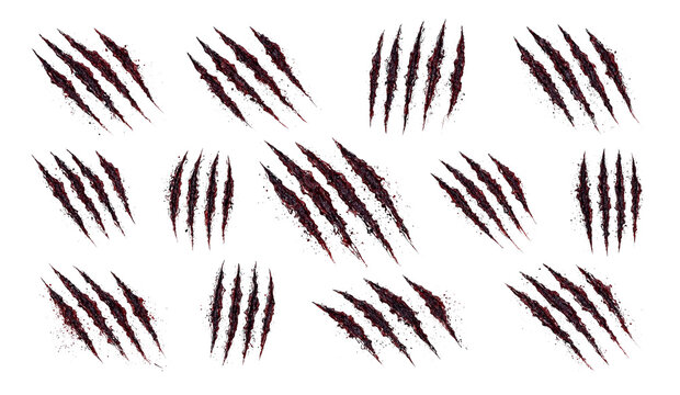 Large set of bloody predator claw marks and violent scratches with monster claws beast scratches animal claws slash marks