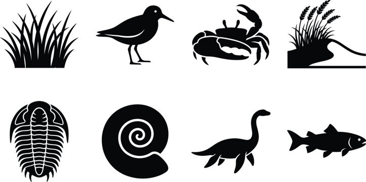 Aquatic nature and prehistoric marine life silhouette vector collection featuring bird, crab, fish, plesiosaur, and fossils