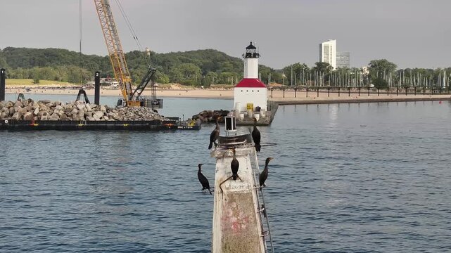 Commorants on Outher Lighthouse near Michigan City, Indiana