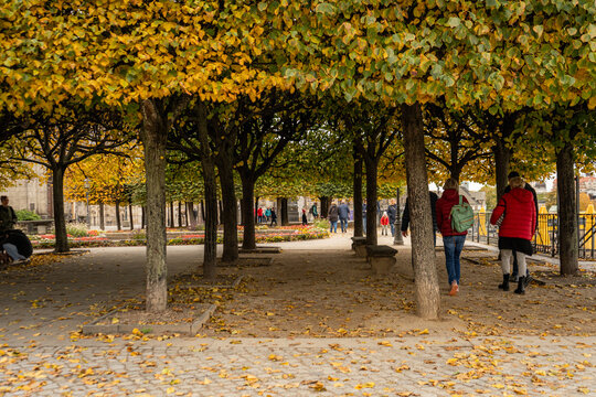 Atmospheric autumn park framed by mature trees, with golden foliage, people walking through it, historic architecture.