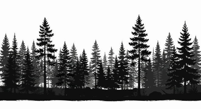 forest, trees, pine, evergreen, woods, nature, landscape, silhouette, vector, monochrome, black, white, conifer, fir, cedar, spruce, botanical, plant, wood, timber, environment, outdoor, growth, branc