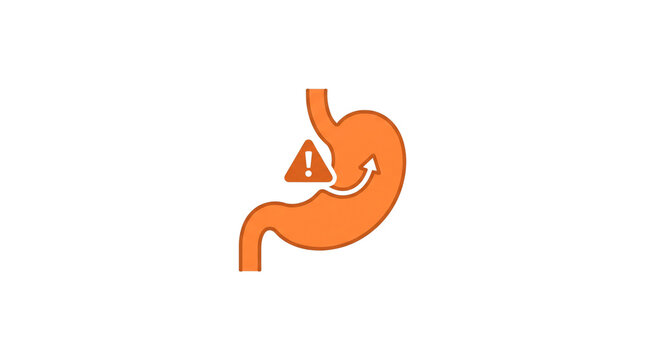 Orange stomach acid reflux icon, digestive disorder vector illustration, heartburn and gerd medical graphic
