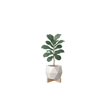 Modern potted fiddle leaf fig plant in geometric ceramic pot with wooden stand vector illustration isolated on white background