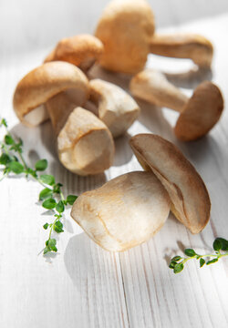 Porcini mushrooms with thyme on white wood background