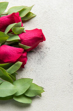 Red roses and eucalyptus leaves creating floral border
