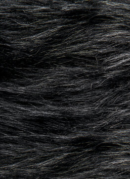 Dark animal fur surface showing soft hair fibers