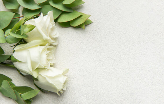 White roses and eucalyptus leaves creating floral border