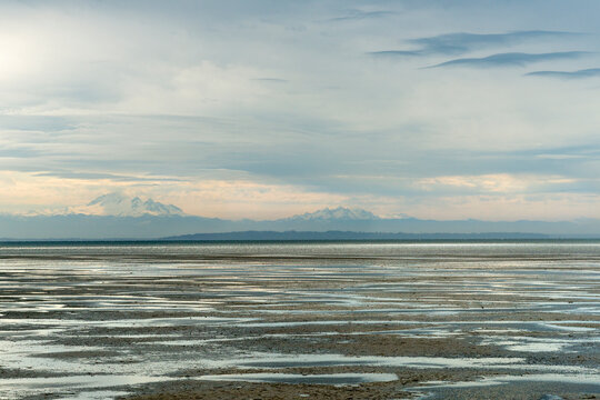 Canada, BC, Delta.  Boundary Bay
