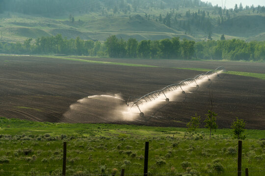 Canada, BC, Cache Creek.  Agricultural sprinkler  irrigation on field.