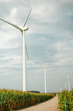 Wind turbines along a gravel road in a rural cornfield