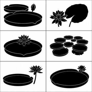 Giant water lily Victoria amazonica silhouette vector icons collection featuring floating round lily pads, lotus flowers, and blooming buds isolated on a clean white background.
