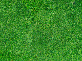 Fototapeta premium Detailed synthetic green grass turf texture background showing dense plastic fibers and artificial lawn surface pattern structure