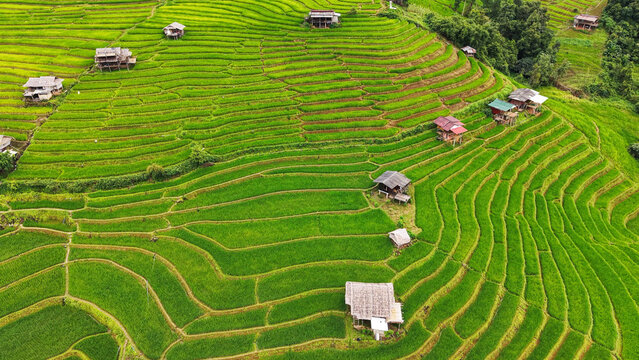 Aerial landscape view of rice terrace and wooden huts in the mountains