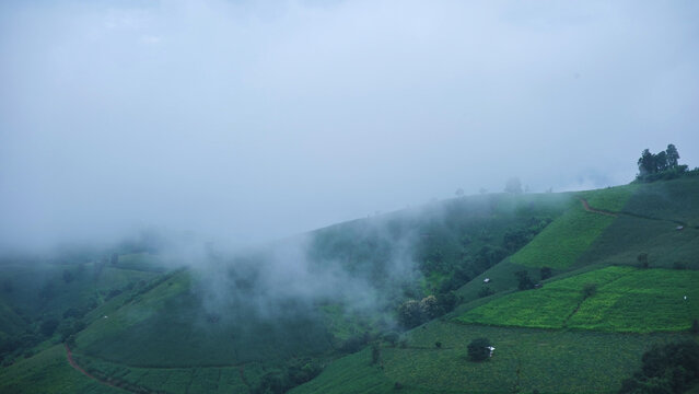 Landscape view of mountains and rice terrace on cloudy morning