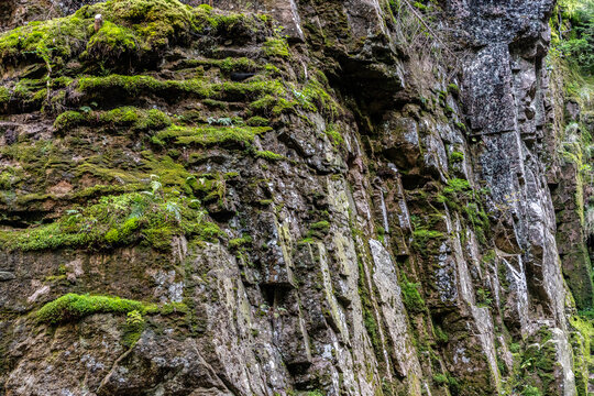 Rock Cliff With Moss In Forest, Geology Nature Stone Texture Landscape Wilderness Detail