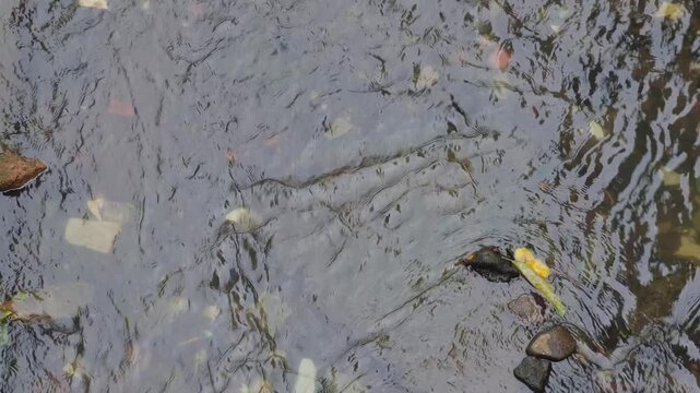Close-up of a shallow stream bed with flowing water and pebbles.