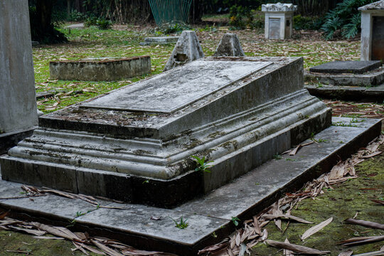 Ancient Stone Tomb in Overgrown Cemetery.