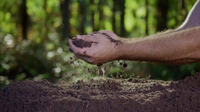 Ground and Earth in Farmer Hands. Environmental Care Concept with Hands and Soil. Cultivated land. Hands Cupping Earth. Natural earth in human hands.