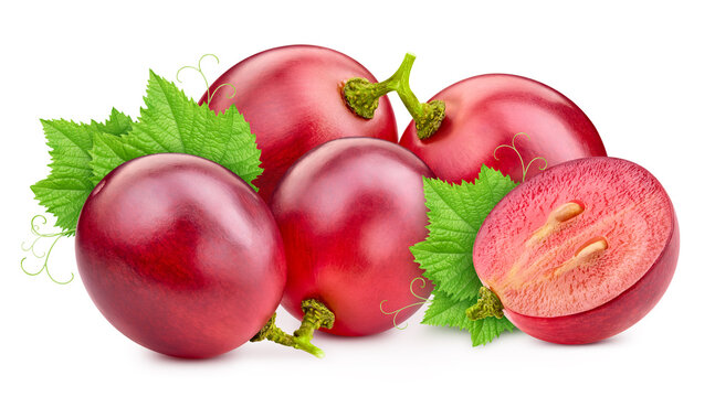 Organic red grapes bunch and half berry with leaves close up. Grapes isolated on white background with clipping path