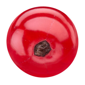Single red currant berry composition. Fresh organic raw redcurrant isolated on white background. Clipping path. Full depth of field