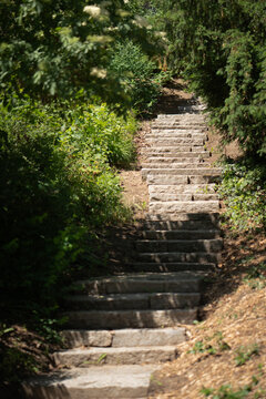 Old stone staircase path winds up a sunny hill through green trees and bushes. Beautiful garden architecture represents growth, way to success, achievement, and career development concepts.
