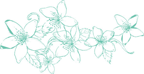 Fototapeta premium vector illustration of a branch of a flower