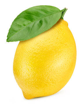Lemon with leaf object. Fresh organic raw citrus fruit isolated on white background. Clipping path. Full depth of field