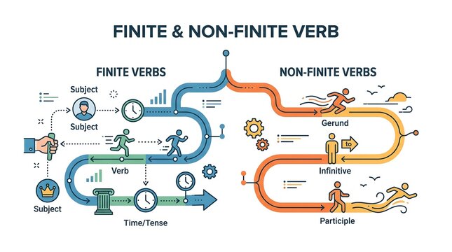 Finite and non finite verbs grammar flowchart vector illustration explaining verb types and structures