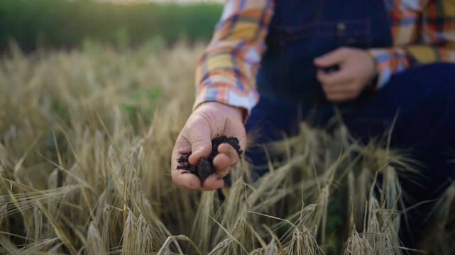 Professional agronomist touching soil in agricultural fields, summer season. Professional farmer examining farmland, communicating with nature, planning good harvest, innovative organic fertilizer