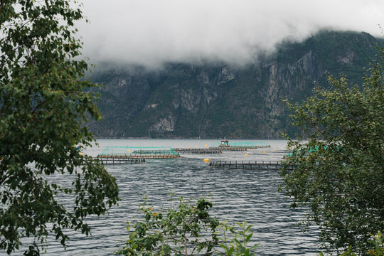 Aquaculture fish farm on a misty fjord in Norway