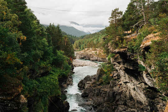 Powerful river flowing through a lush mountain gorge