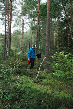 Man foraging for berries in a green forest