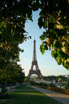 The Eiffel Tower in Paris framed by lush green trees