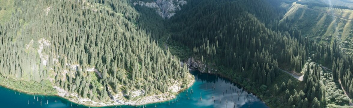 Aerial panoramic view of sunken forest in mountain lake