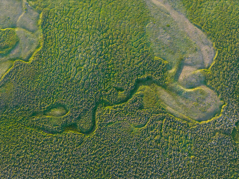 Aerial top down view of tidal marsh textures