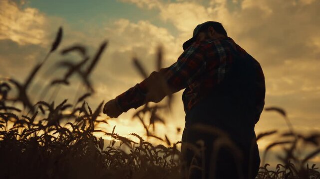 Silhouette of farmer or villager standing alone in golden field in sunset. Unity of person and nature, agribusiness and modern agriculture technology, tradition of ecological farming, save ecology