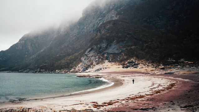 Solitary figure on a vast misty beach by a mountain