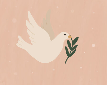 A white dove carries an olive branch on a pink background