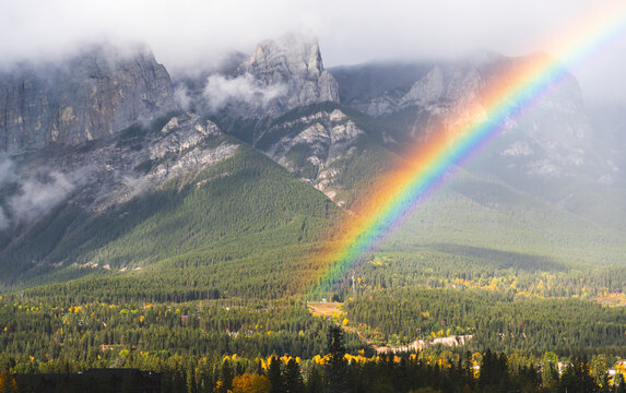 Tranquil view of rainbow emitting from green trees