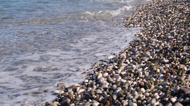 Coastal scene featuring pebbles and shells along the shoreline, with waves lapping gently against the beach under a clear blue sky
