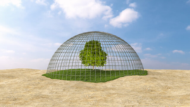 Tree on grass under domed grid