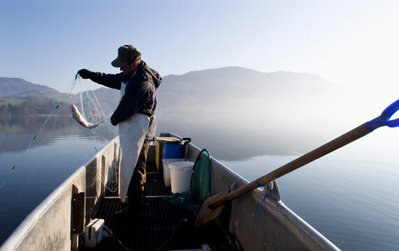 Austria, Mondsee, Fisherman caught a fish in fishing net