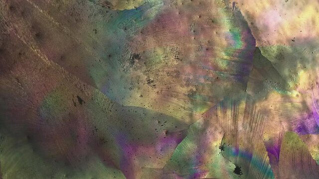 Rapid crystal growth front spreading across liquid phase showing texture of crystalline domains under polarized light microscope timelapse for chemistry laboratory education and materials research