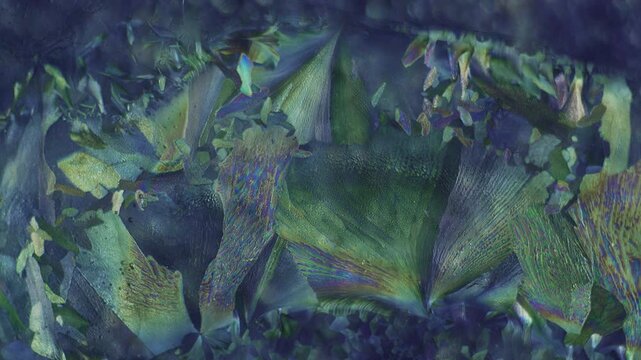 Solid crystal layer texture showing optical birefringence color change by rotating polarization filter angle under microscope for physics materials science education and laboratory research project
