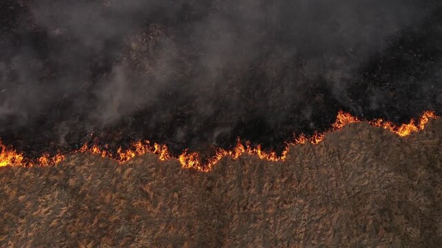 Slow motion aerial view spring dry grass burning field. Fire, smoke in meadow, pollution
