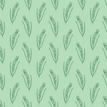 Seamless pattern with hand drawn cereal wheat oat rye barley rice ears spikelet Organic healthy food For decorative print, fabric, package, background