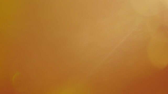 Bright afternoon sun rays piercing through leaves, glowing diagonal light leak, energetic organic presentation template
