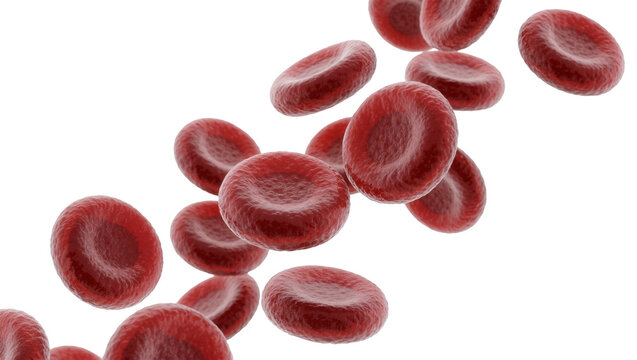 Red blood cells floating, isolated on transparent background